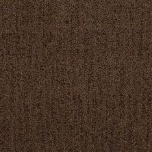 Masland Firenze Chickory 9494-611