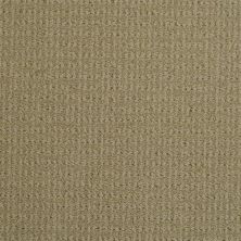 Masland Sisaltex Dust Storm 9508-516