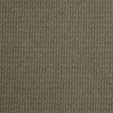 Masland Sisaltex Cotton Seed 9508-819