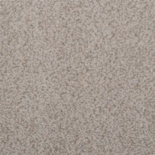 Masland Granique Alabaster 9514-137