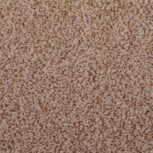 Masland Granique Topaz 9514-242