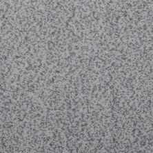 Masland Granique Zion 9514-646