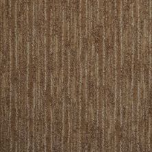 Masland Artistic Vision Canyon Wall 9516-282