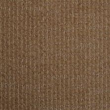 Masland Style Sense Canyon Wall 9517-282