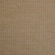 Masland Style Sense Sundance 9517-438