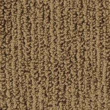 Masland Rivulet Hearthstone Brown 9521-785