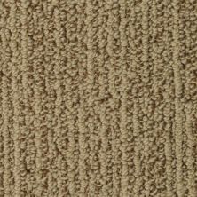 Masland Rivulet Scarsdale 9521-787
