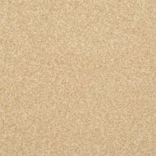 Masland Beacon Hill Almond Shell 9527-