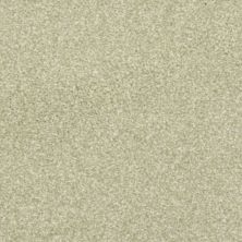 Masland Beacon Hill Frosted Mint 9527-586