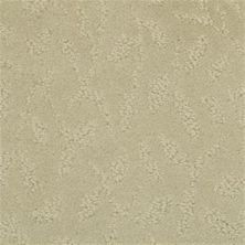 Masland True Luxury Simply Taupe 9541-247