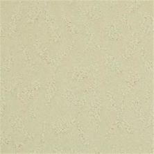 Masland True Luxury Shell 9541-411