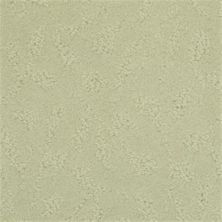 Masland True Luxury Mineral 9541-521