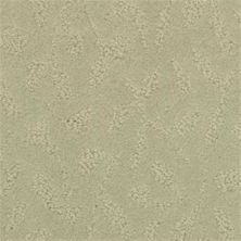 Masland True Luxury Fossil 9541-767