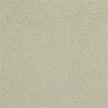 Masland True Luxury Ash 9541-821