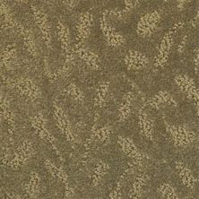 Masland True Luxury Shale 9541-898