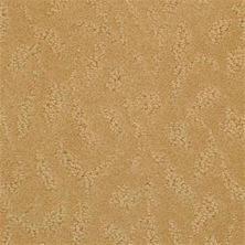 Masland True Luxury Terra Cotta 9541-969