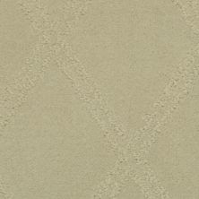 Masland Braided Opulence Simply Taupe 9542-247