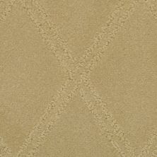 Masland Braided Opulence Rich Tan 9542-263