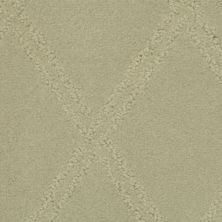 Masland Braided Opulence Fossil 9542-767