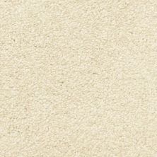 Masland Morgan Bay Sandstone 9550-289