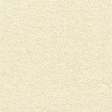 Masland Vero Beach Seed 9551-59