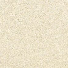 Masland Vero Beach Pewter 9551-165