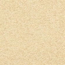 Masland Vero Beach Brazil Nut 9551-238