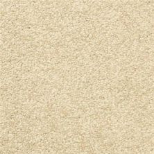 Masland Vero Beach Scroll 9551-288