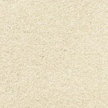 Masland Vero Beach Sandstone 9551-289