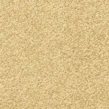 Masland Vero Beach Rough Hewn 9551-393