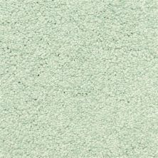 Masland Vero Beach Spray 9551-584