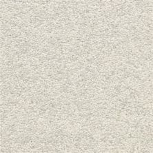 Masland Vero Beach Blue Ice 9551-654