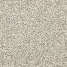 Masland Vero Beach Falcon Grey 9551-855