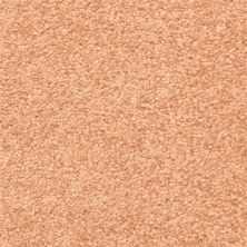 Masland Vero Beach Copper 9551-904