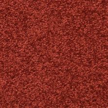 Masland Vero Beach Cherry 9551-980