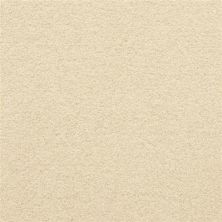 Masland Patriot Pale 9588-088