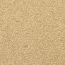 Masland Patriot Remnant 9588-238