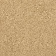 Masland Patriot Ancestral 9588-382