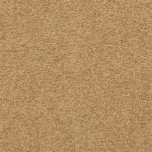 Masland Patriot Radiant 9588-395