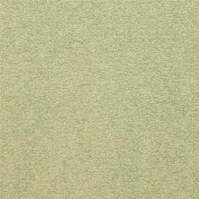 Masland Patriot Tropical 9588-522