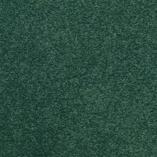 Masland Patriot Visual 9588-548