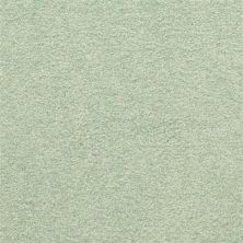 Masland Patriot Vivid 9588-590