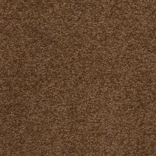 Masland Patriot Montego 9588-723