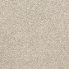 Masland Patriot Medallion 9588-827
