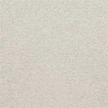 Masland Patriot Techno 9588-846