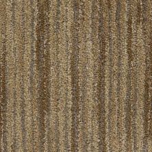 Masland Vivacity Ardor 9601-210
