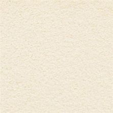 Masland Ravishing Dazzling 9625-006