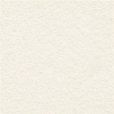 Masland Ravishing Tantalizing 9625-016