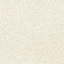 Masland Ravishing Glamorous 9625-021