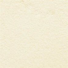 Masland Ravishing Captivating 9625-102